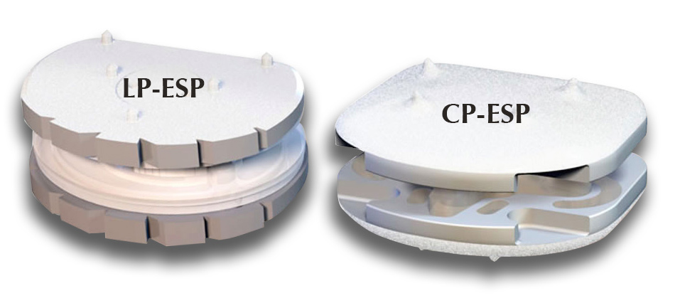 FH Orthopedics LP-ESP and CP-ESP Artificial Discs