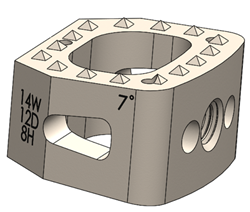 Cutting Edge Spine EVOL ha-C Interbody