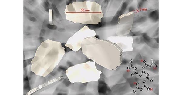 Artoss NanoBone Bone Graft Substitute