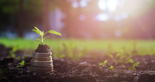 Amphix Bio lands federal and state grants to manufacture regenerative therapies