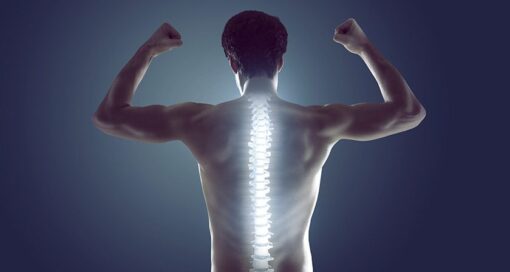 Osteotec Partners with Highridge Medical