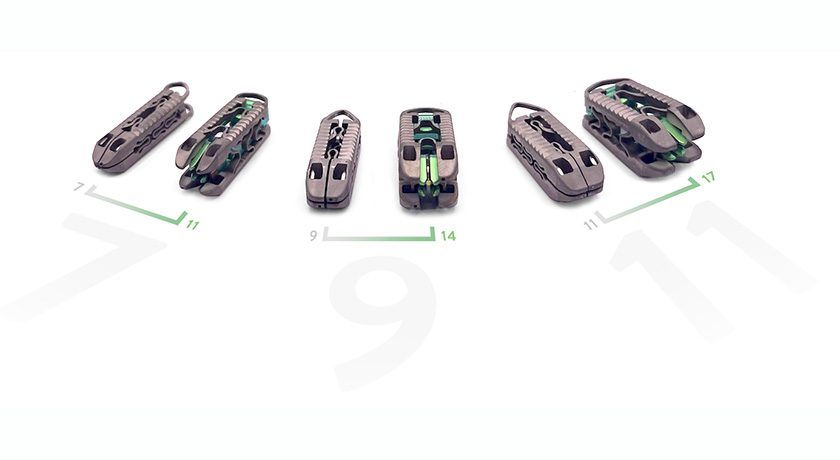 Accelus FlareHawk Interbody Family