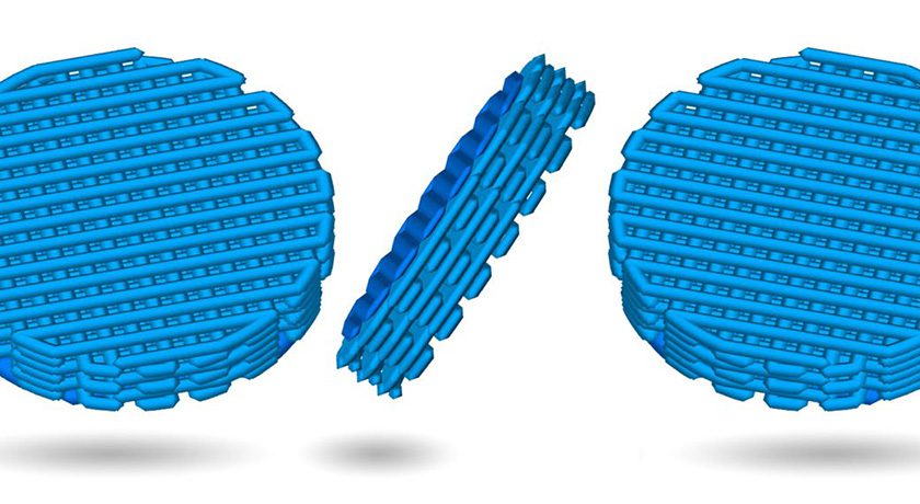 Nanochon ChondroGraft