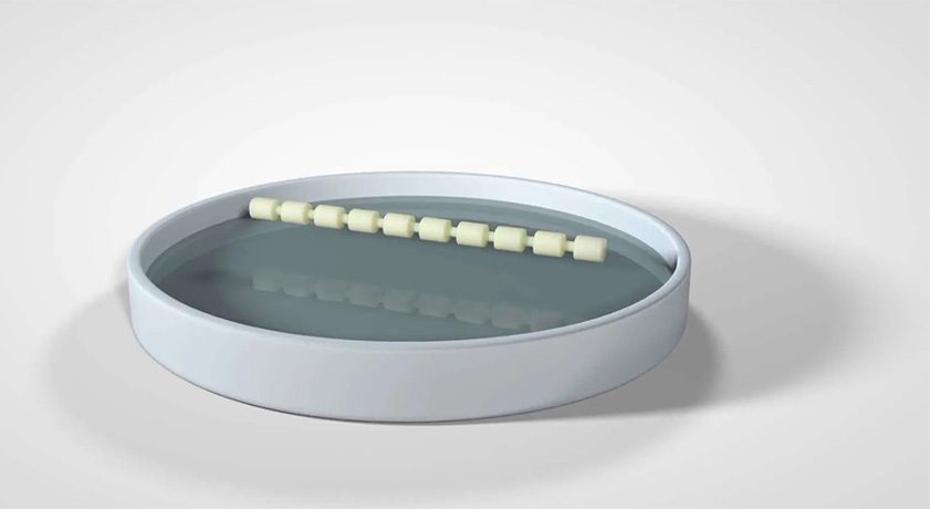 Lenoss Medical OsteoPearl Biological Allograft