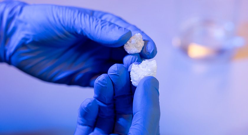 Locate Bio LDGraft