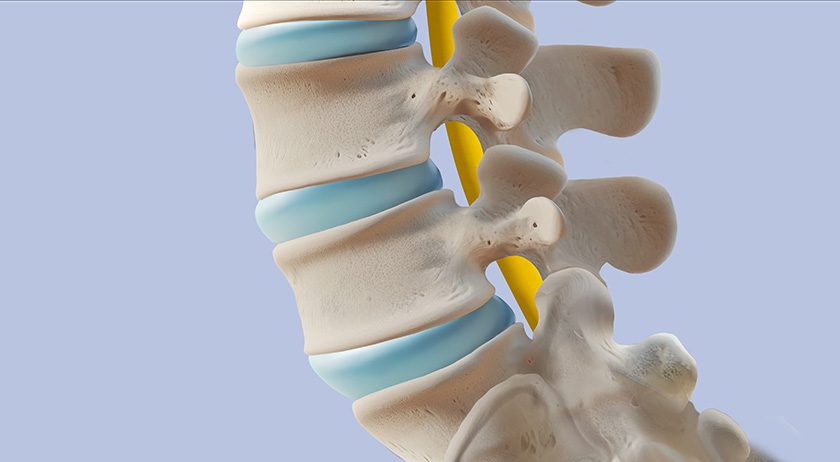 Lumbar spinal region