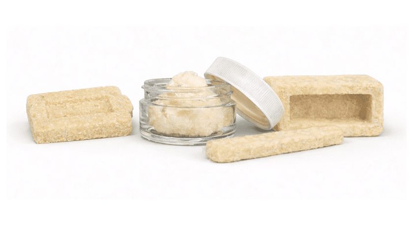 Xtant Medical Trivium Bone Grafts