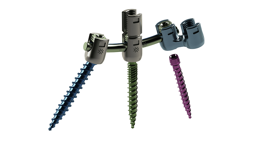 Xenix Medical Riva Posterior Fixation