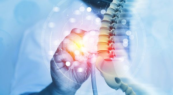 IMPLANET and distribution partner Sanyou Medical have registered the JAZZ range, dedicated to tape fixation in the treatment of spinal pathologies, on the Chinese market.