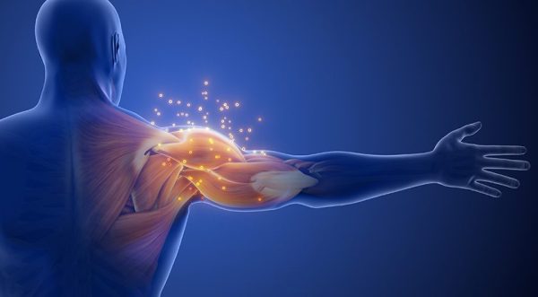 BioPoly Granted New U.S. Patent Protecting Shoulder Implant